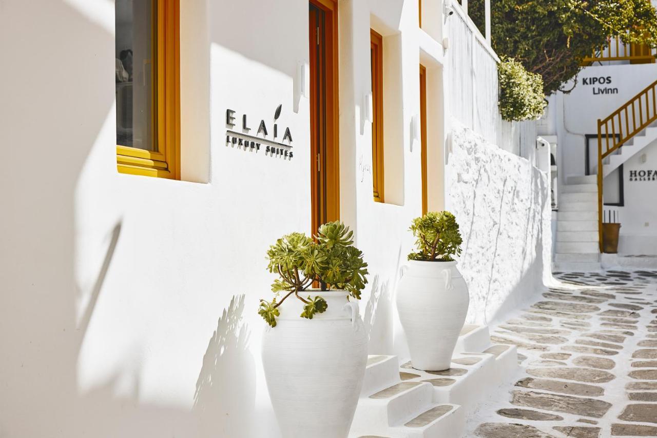 Elaia Luxury Mykonos Vakantiehuis *